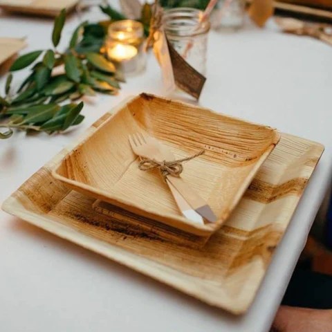 Biodegradable areca plates