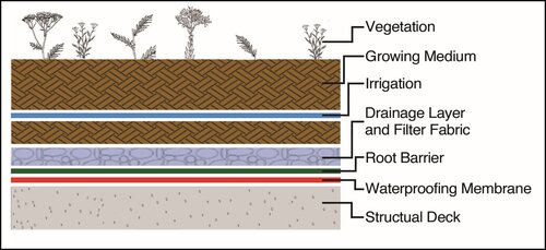 Image portarying green roof technique of rooftop farming showing the structural layers of a green roof. 