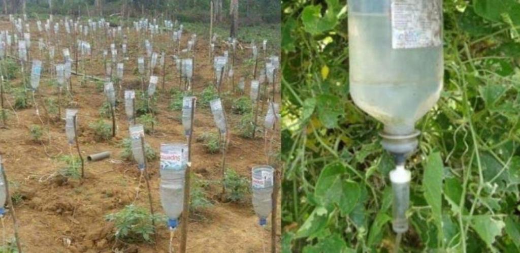 Waste plastic glucose bottles used for drip irrigation in Madhya Pradesh
