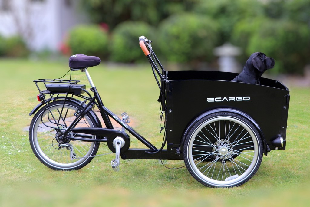 Cargo bicycles 