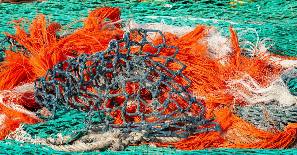 Circular Economy for Indian Ocean Fisheries
